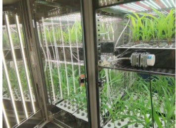 LIYI Bitki Büyüme Odası Yapay İklim Tohum Çimlenme Makinesi İklim Odası Odaları Çevre