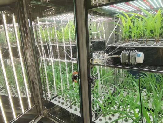 Liyi Bitki Büyüme Odası Yapay İklim Tohum Çiçekleme Makinesi Bitki Büyüme Kutusu Inkubatör