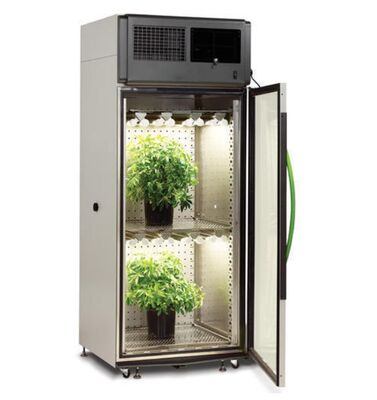 Liyi Programmable Climate Seed Plant Flower Growth Germination Incubator Environmental Chamber